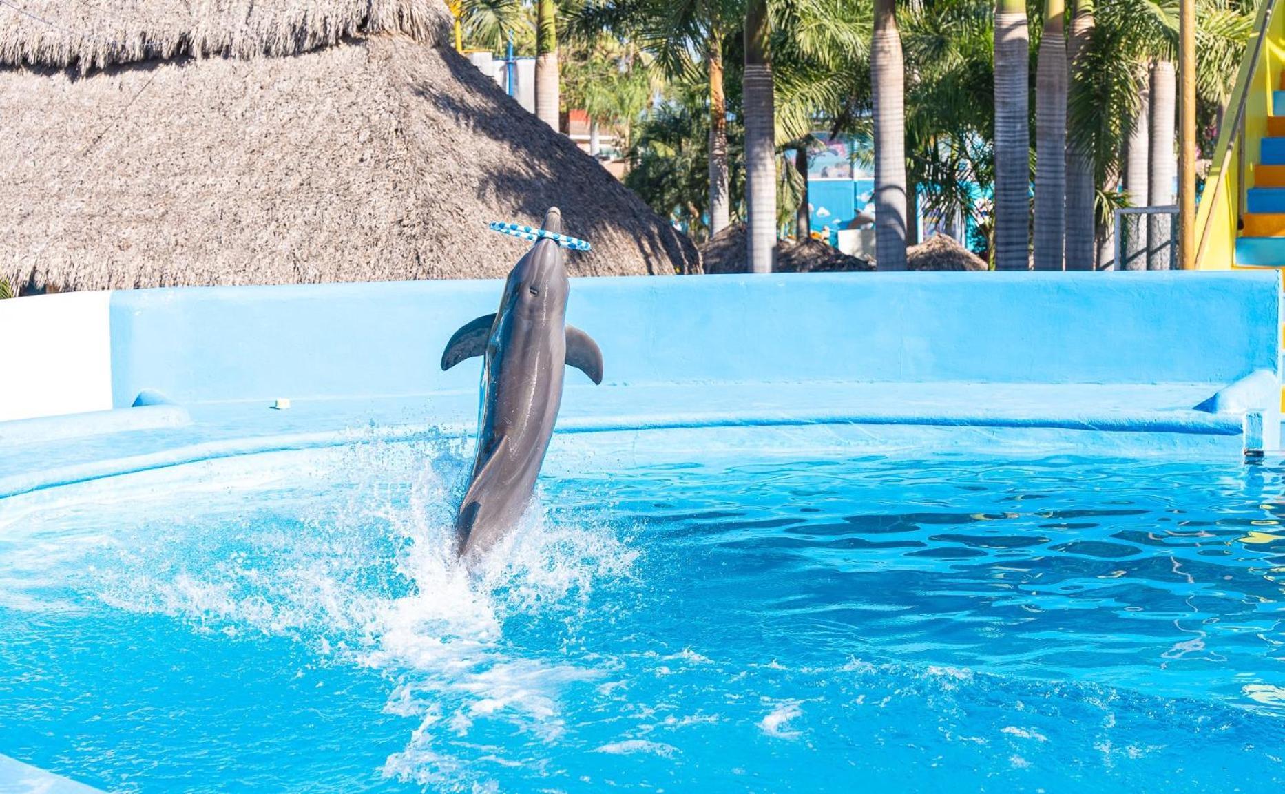 Splash Inn Nuevo Vallarta & Parque Acuatico Exterior foto
